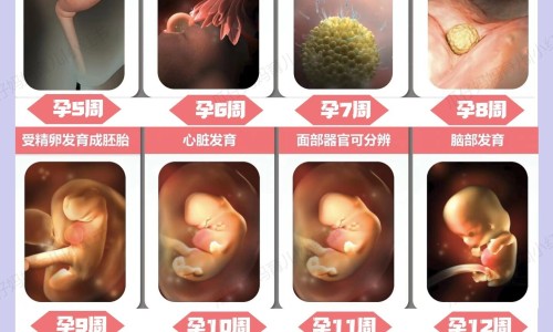 孩子身上起红点看什么科室专区_孩子身上出现小红点涂抹什么药专区_孩子身上起红点看什么科网
